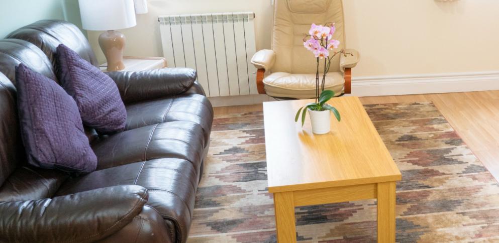 brown leather sofa sitting on tribal rug in light living room